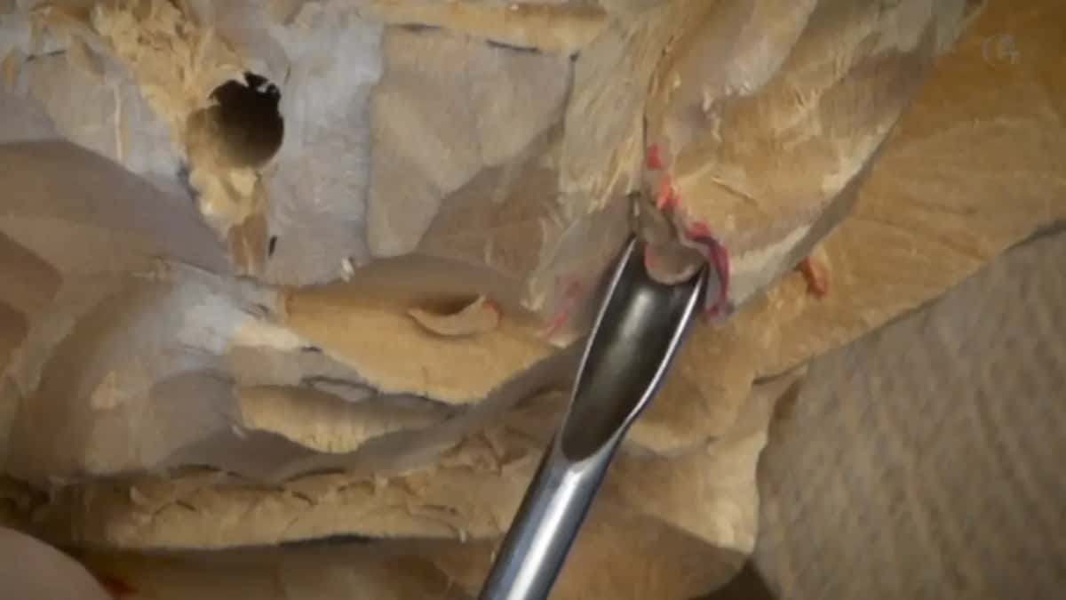 Steel blade across the middle of the frame, red marks on either side.