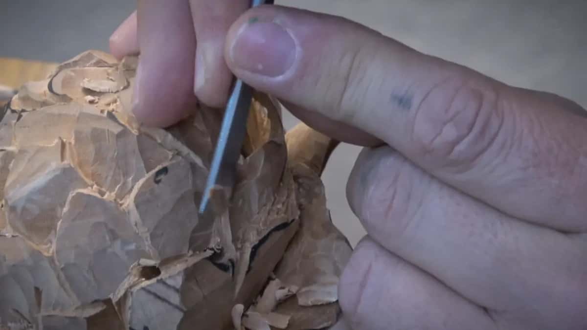 Fine tool held above the petal with an X still pencilled on it.