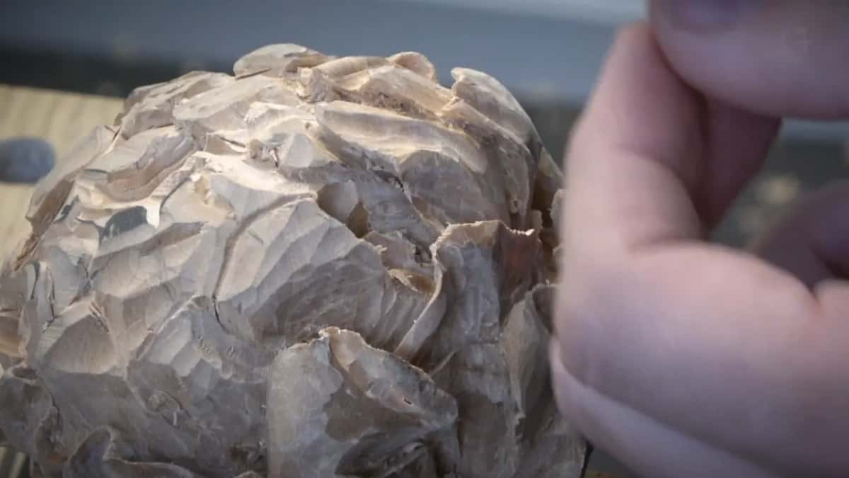 Close on the carved petals with the holding hand at the right, no tool in the cut yet.