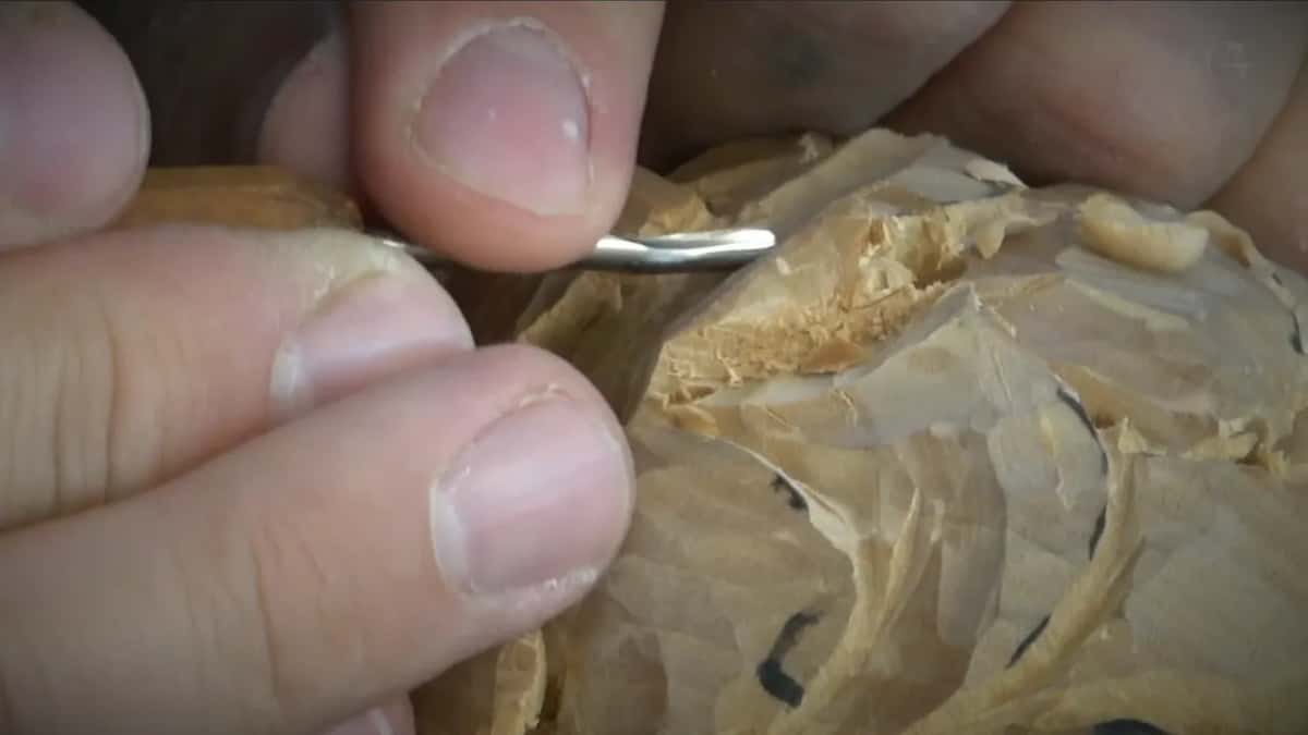 Bent gouge coming in from the right against warmly lit carved petals.