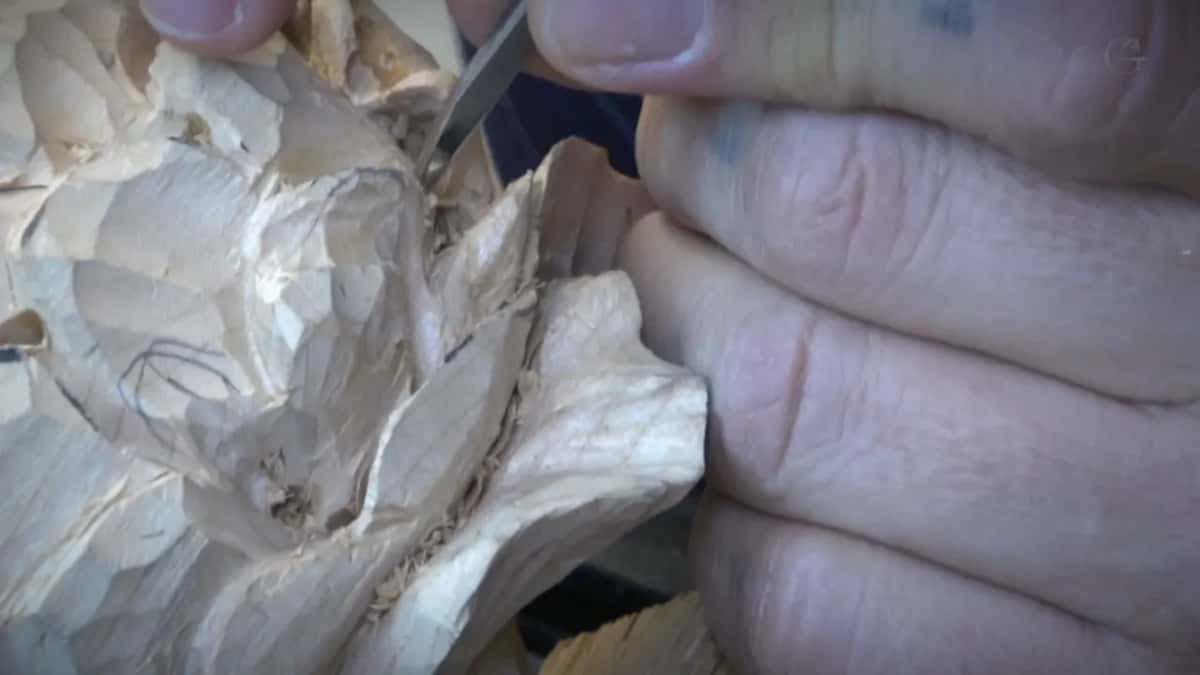 Hand and flower close together, the cut already started.