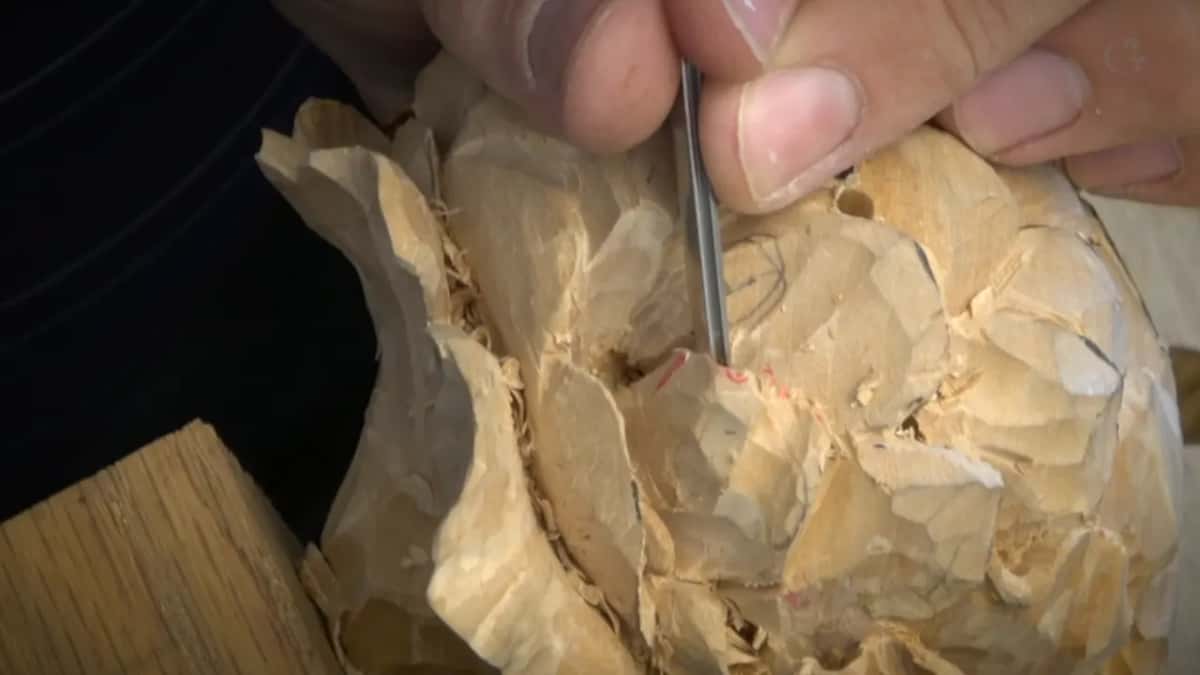 A needle-fine tool between two fingers, straight down into the warmly lit carving.
