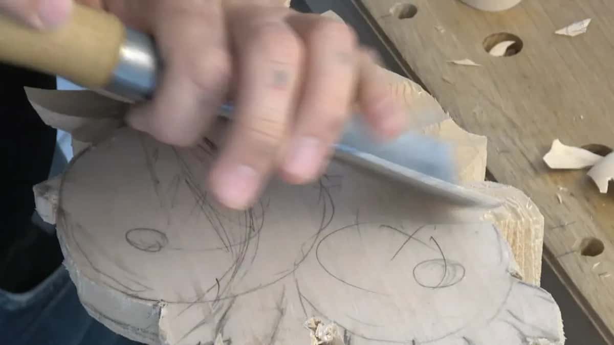 Pencilled circles marking two flower centres