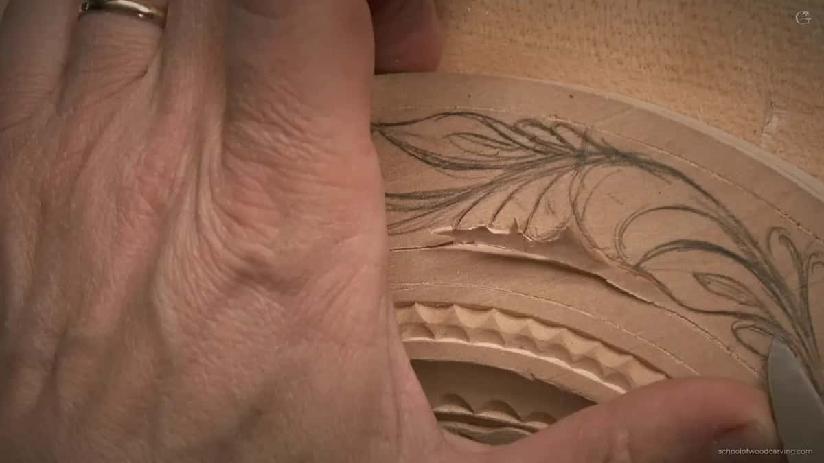 A fresh groove follows the inner line of the band, just below the pencil leaves