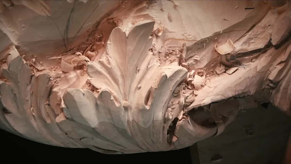 Carved fan of leaves, with pale chips heaped around its base