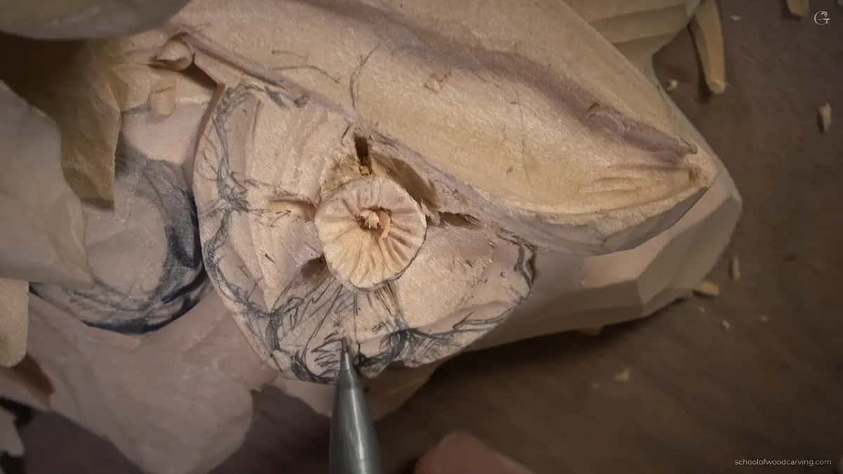 Pencil point on a petal