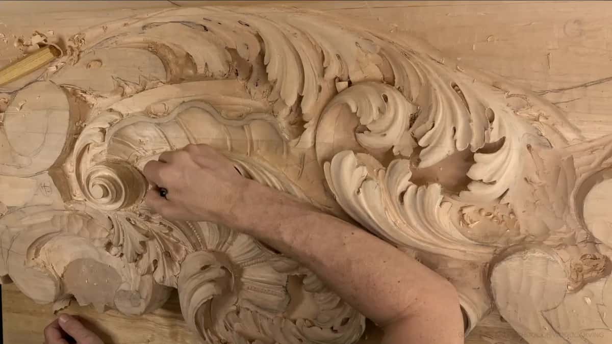 Pencil in hand, pointing into the shell.