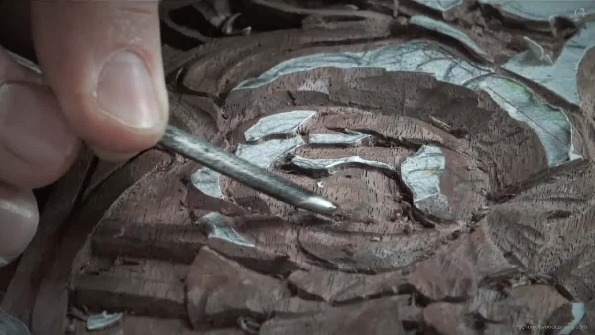 Bright steel working in beneath the upper petal.