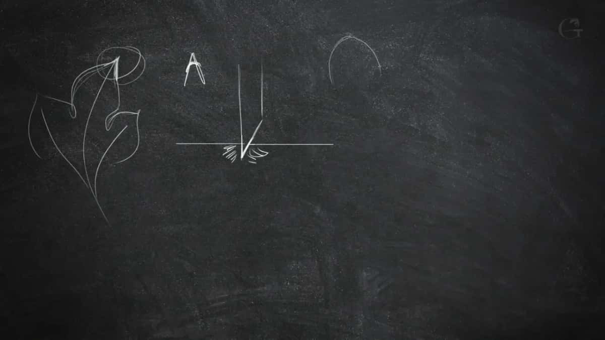 Sketch of the two tips, Greek pointed and Roman rounded, with the A and V beside them