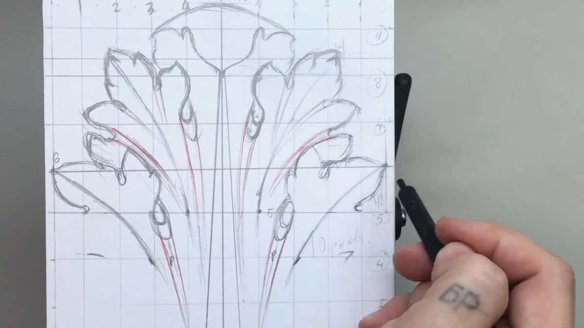 What the leaf looks like on paper before anybody argues about which plant it came from