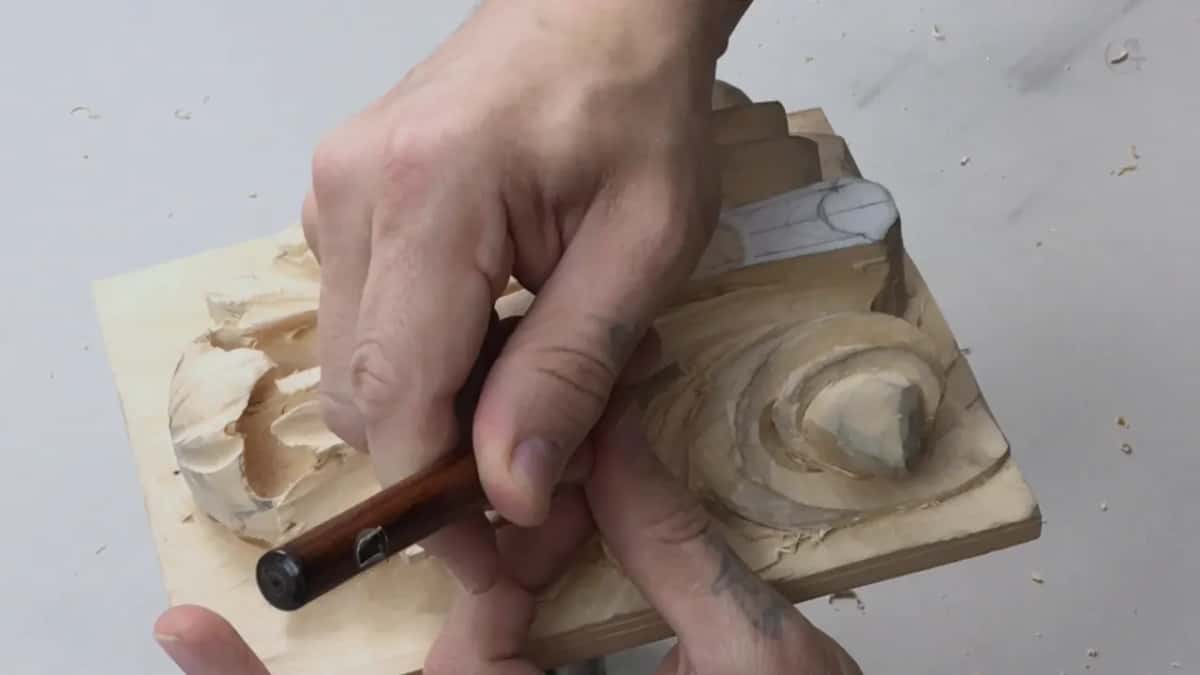Held low, a beech grip