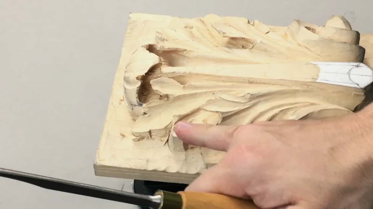 One finger pointing out where the lower leaf disappears beneath the section above it