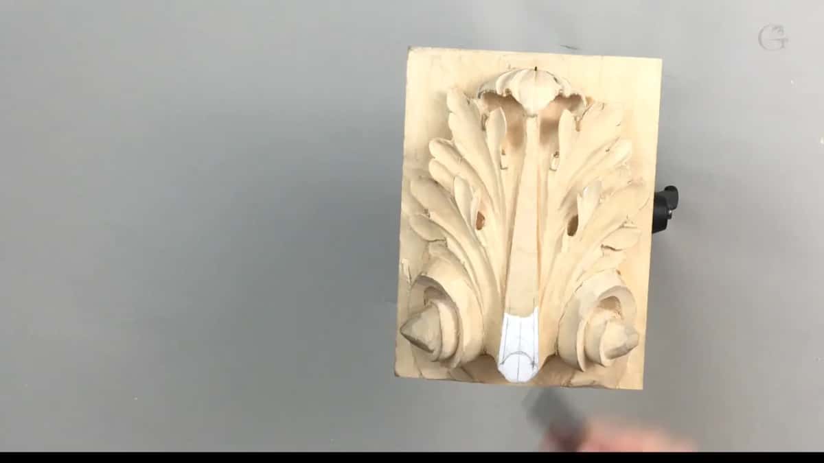 Pale strip laid across the base