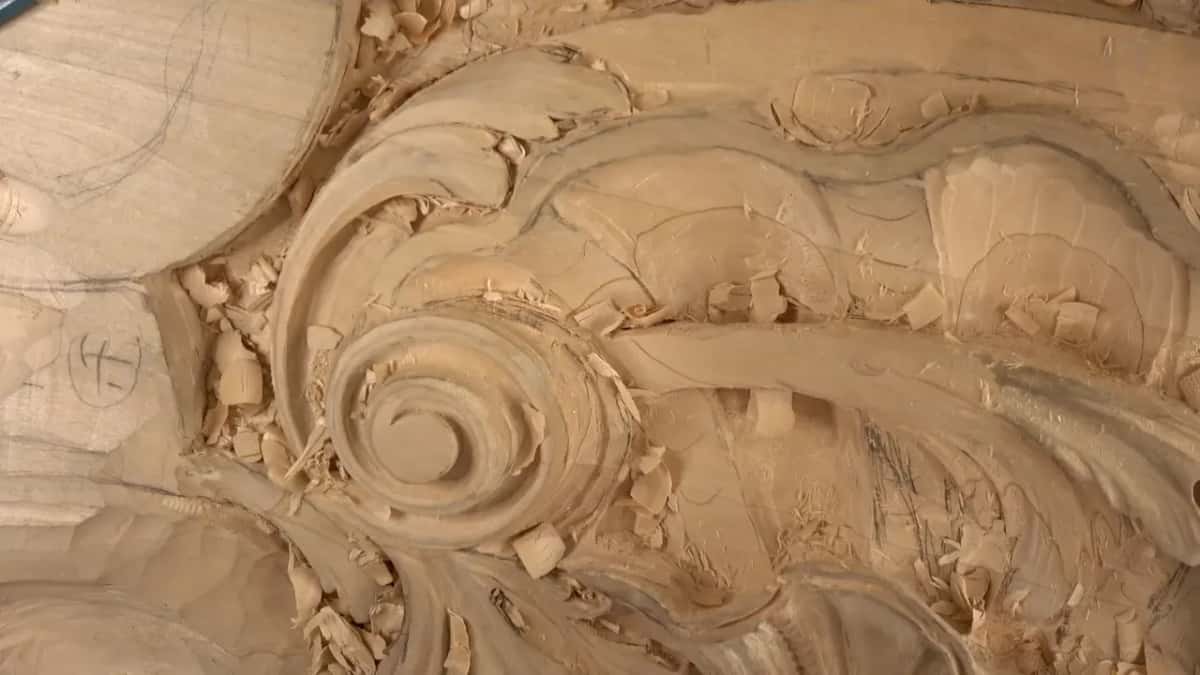 Ribbed hollows of the shell.