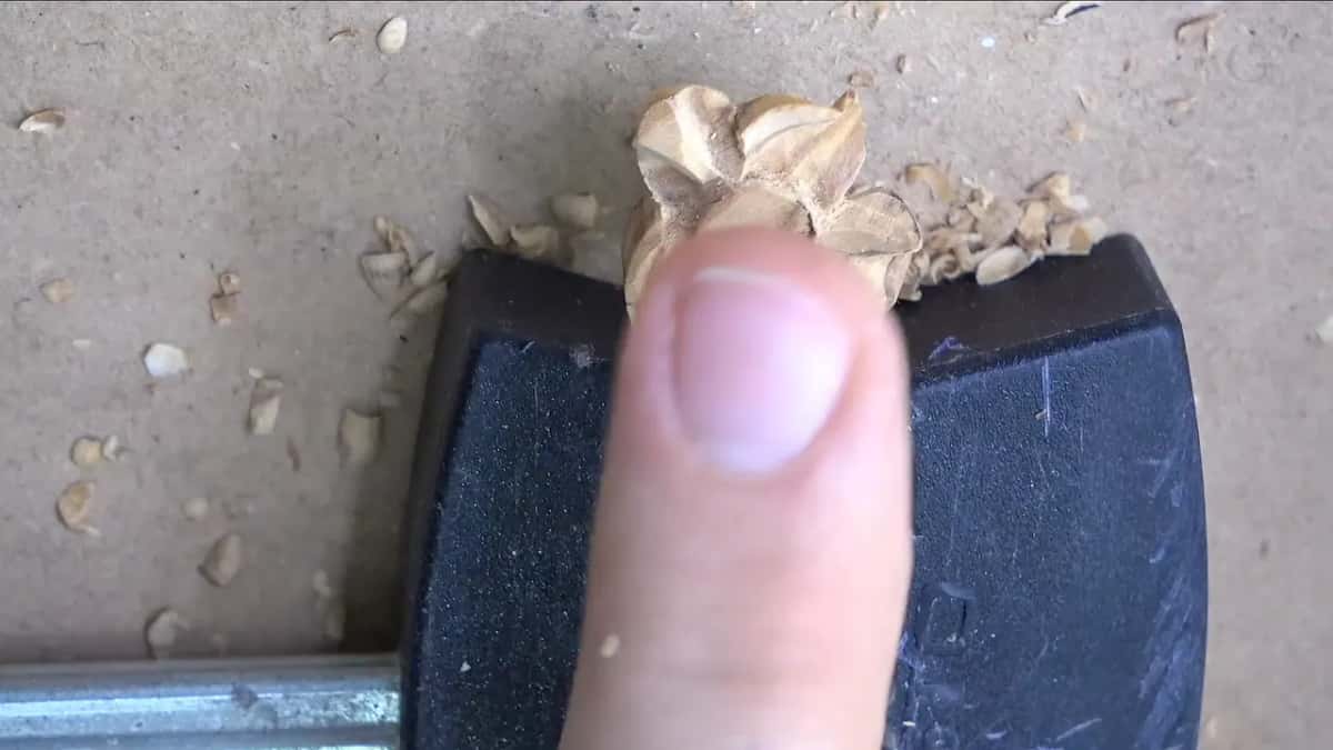 One fingertip hides nearly the whole flower