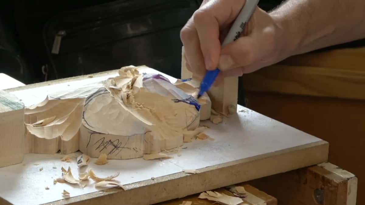 Blue pen redrawing a line on the roughed tulip