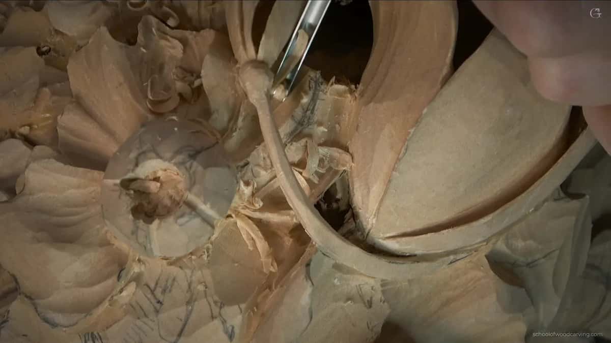 Close under the arching stem, where the shadow has grown dark enough to swallow the tip of the blade