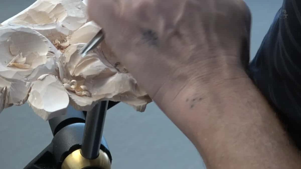 Narrow tool sunk into the side of a petal