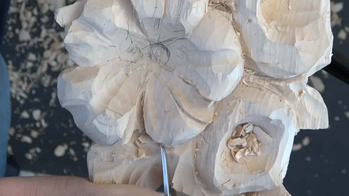 Five petals now clearly parted, with the pencil scribble at the centre still holding the divisions, and a blade rising below
