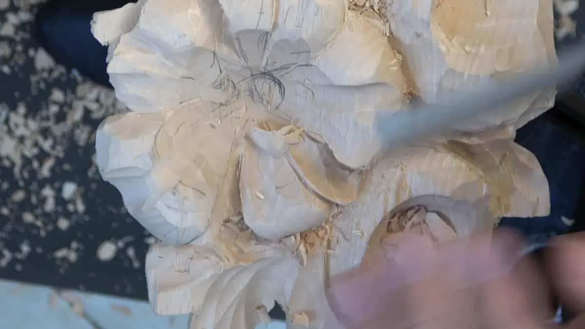 Curved tool crossing the flower where a petal curls back on itself