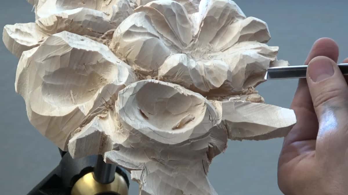 Three flowers seen from the side