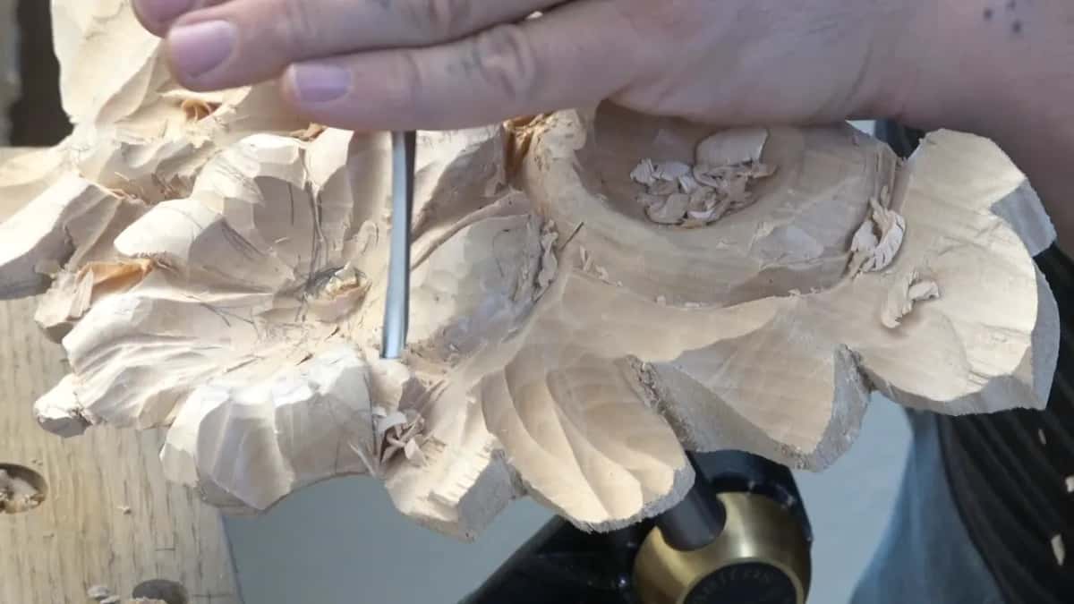 Round shanked gouge standing upright in a petal