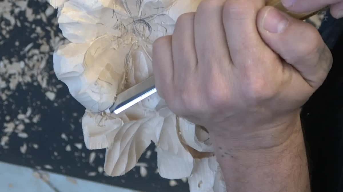Knife blade set against the junction of two petals