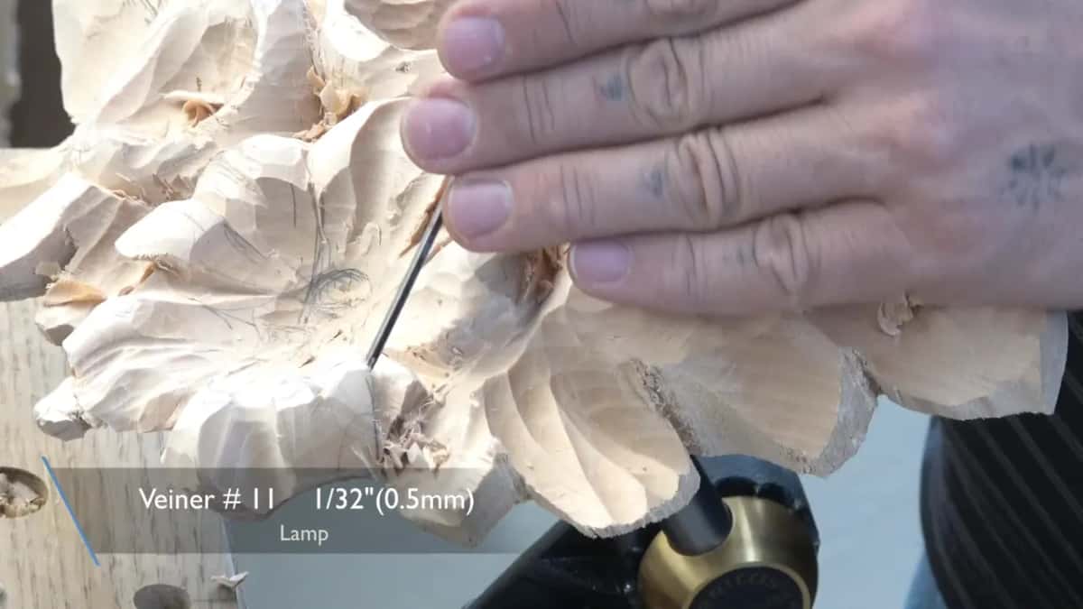 Veiner well under a millimetre wide reaching into the corner of a petal