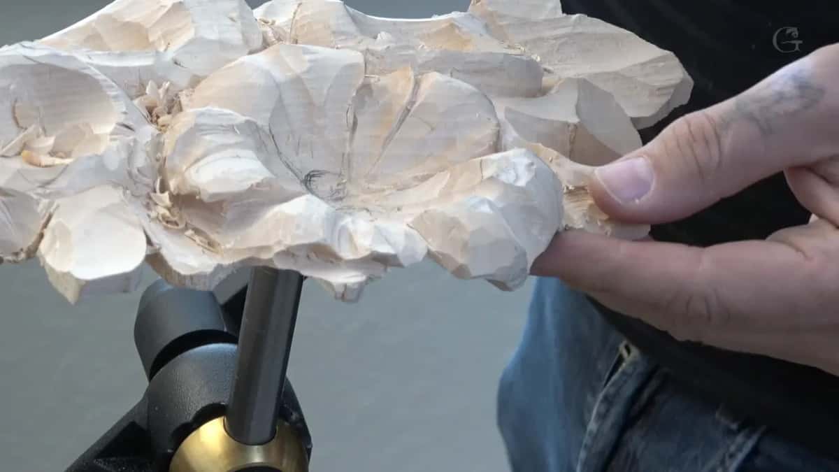Whole flower head held edge on above its vise post, the angle a visitor actually sees it from