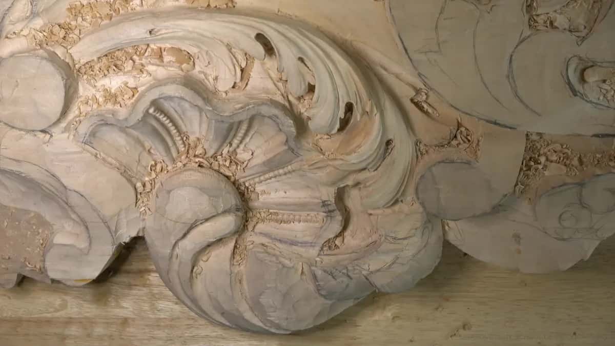 Shell and leaves seen from the front.