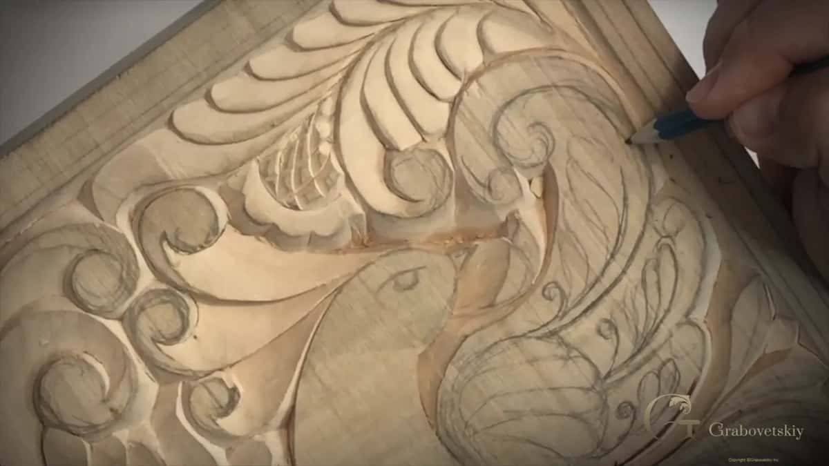 Double volute on the wing, second line still being worked out in pencil.