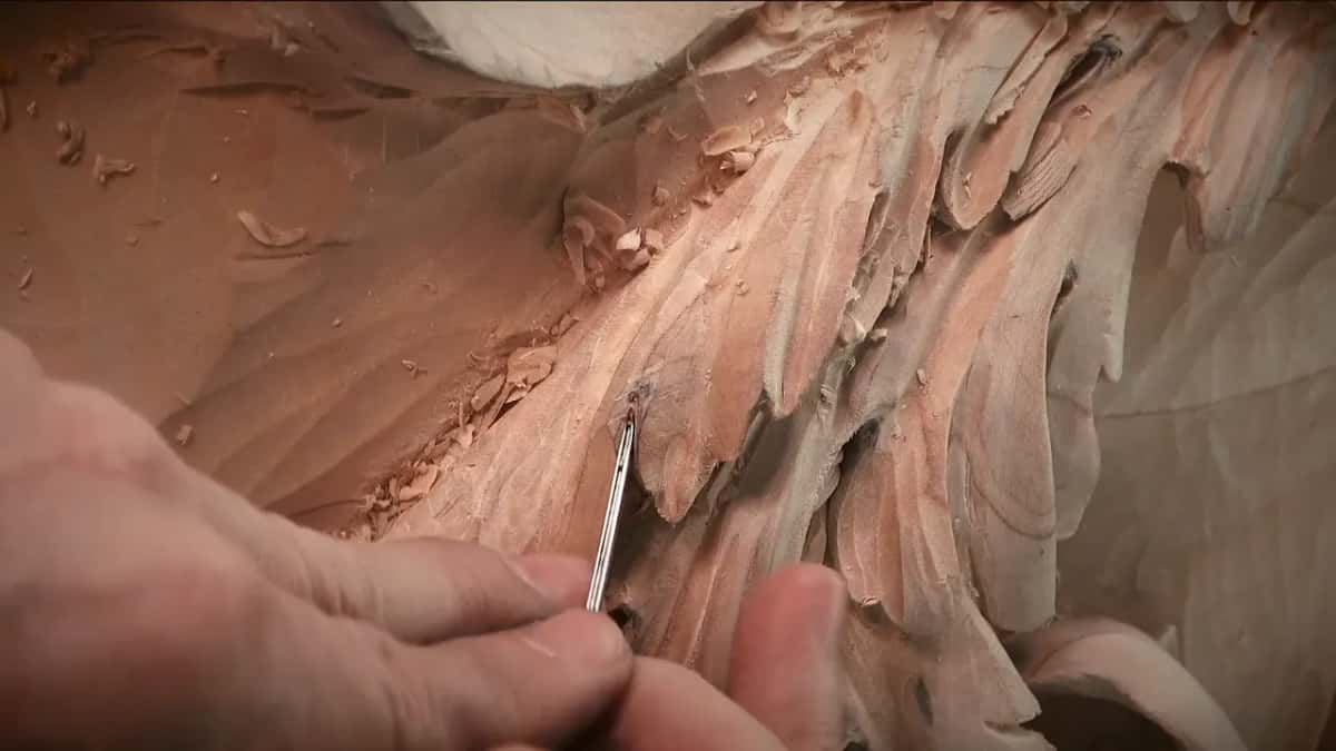 A very thin tool touches one lobe.