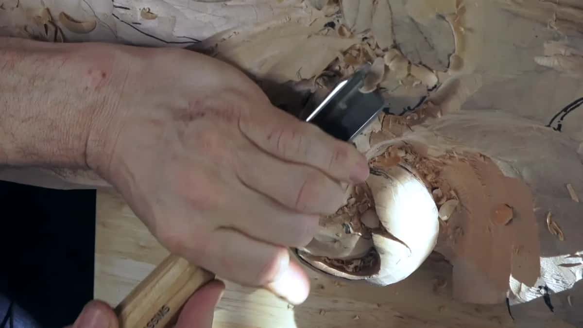 A big hand pushes a wood-handled gouge over the round of the lobe.