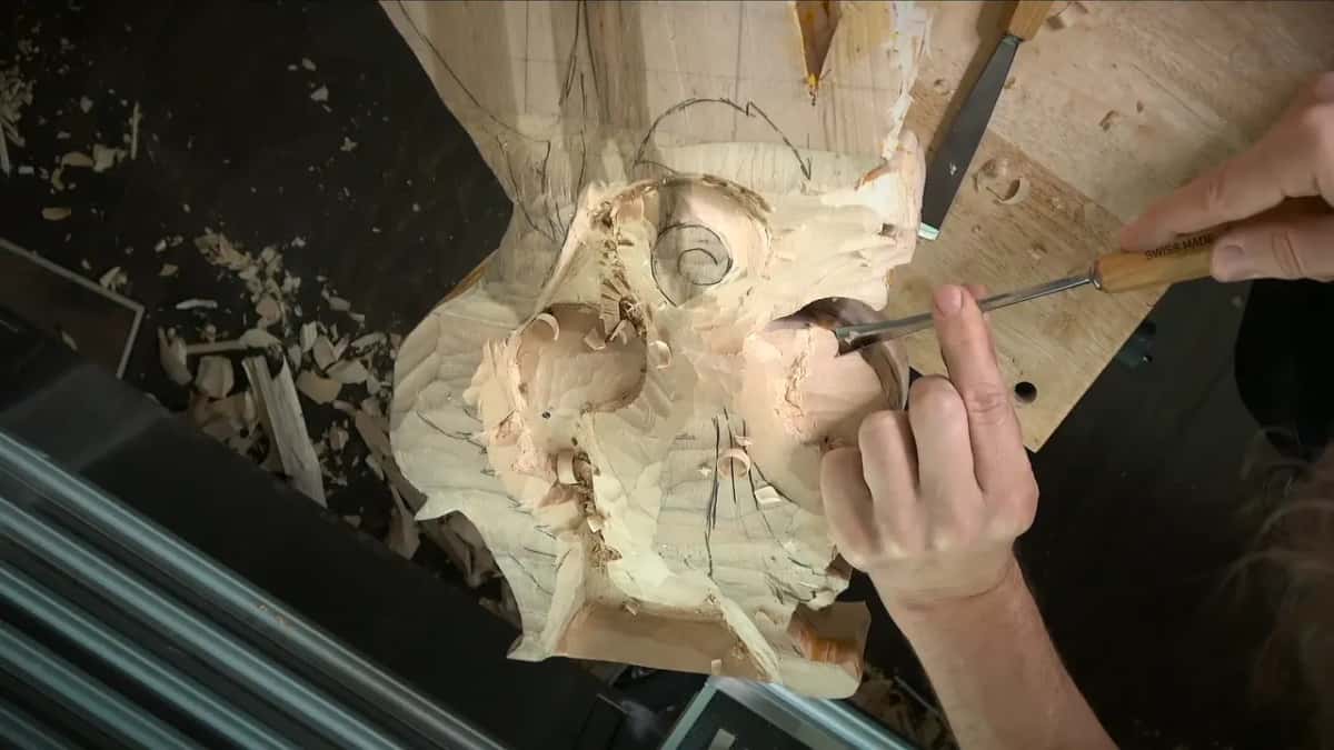 From overhead, a bent gouge over the lower lobe as shavings collect on the dark floor near the stand
