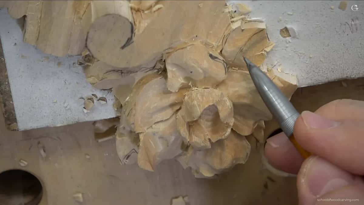 Pencil pointing at a petal