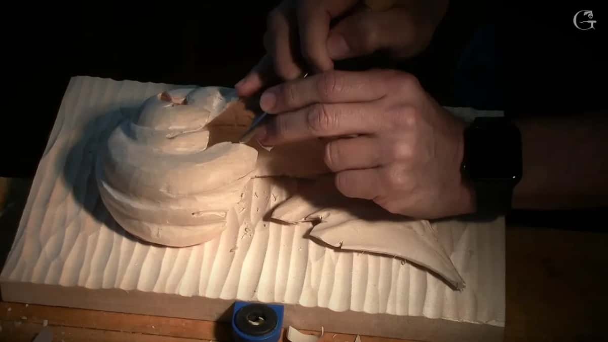 Fingers hold a small tool against the curled head of the leaf