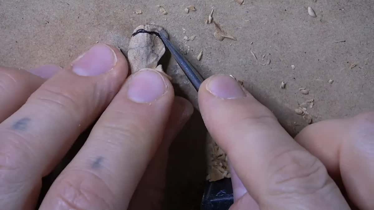 Black marker line along a petal, the tool ready beside it