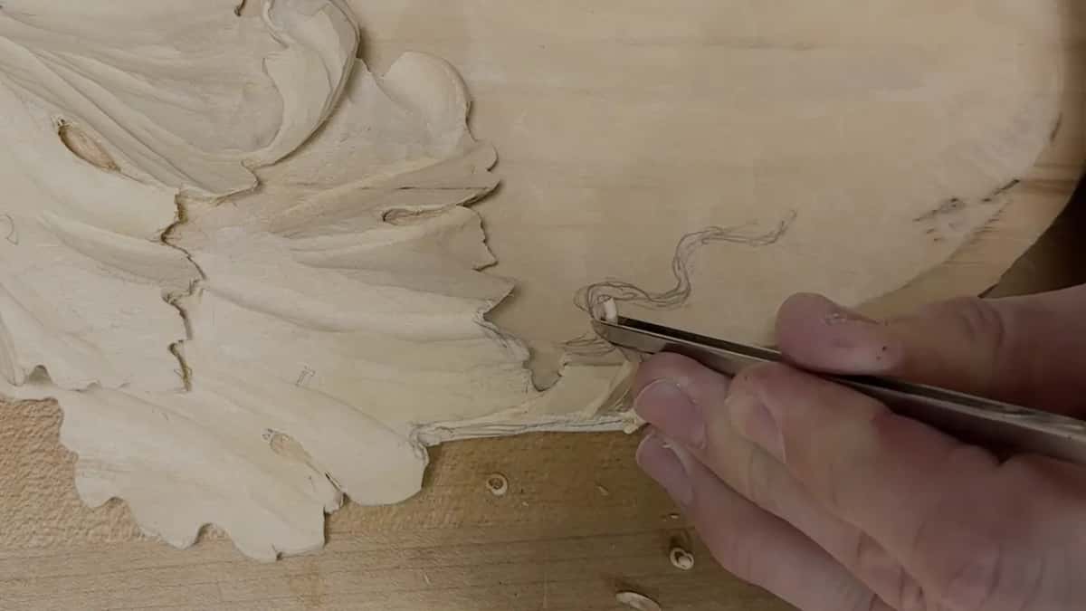 A steel gouge tip resting where the pencil curl begins, just inside the rim