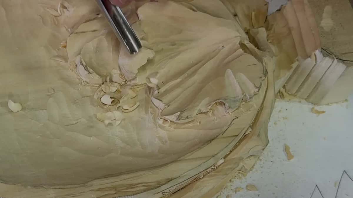 Gouge upright in a curled lobe, chips piled around it