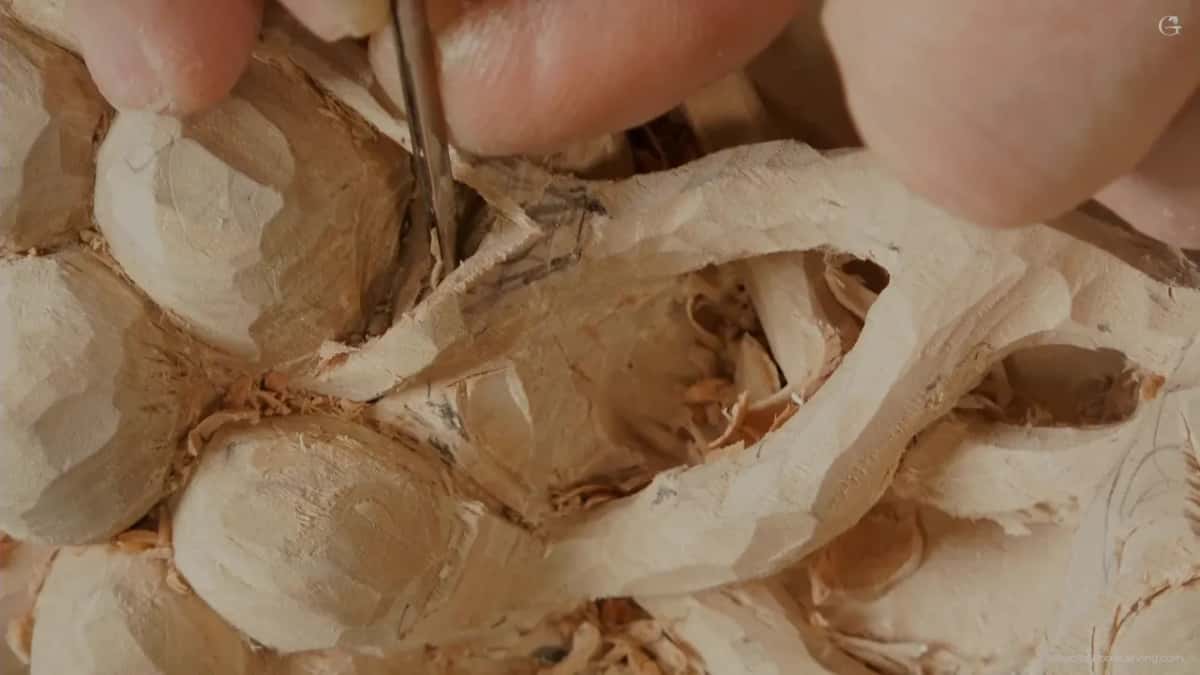 Fingertips guide a narrow tool down between rounded grapes, with shavings packed in the gaps