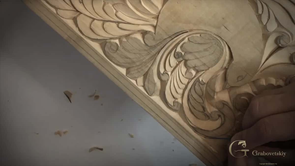 Close view of the tail curls, each wall still pale and fresh from the knife