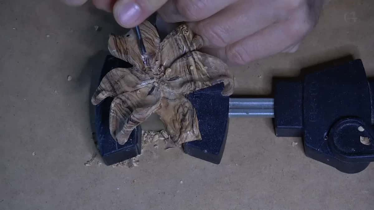 Striped lily carving clamped flat, a small gouge in one petal