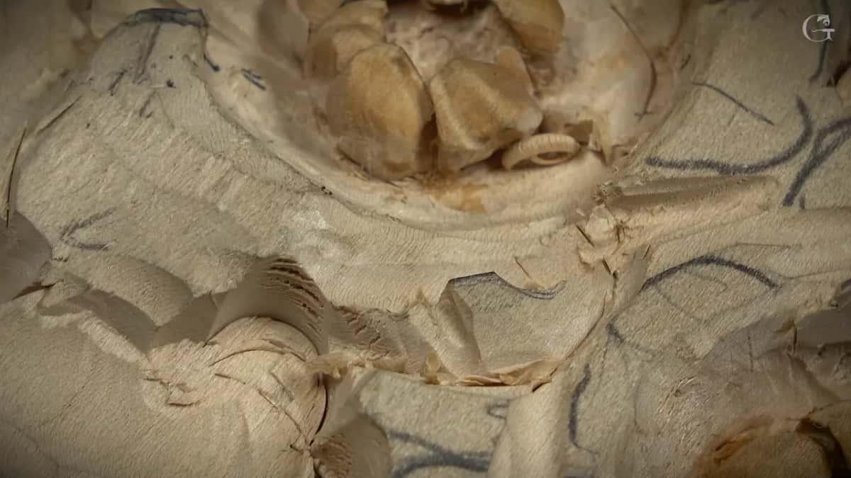 Close view of a petal's wavy edge beneath the round center, shavings lying on it, no tool in sight