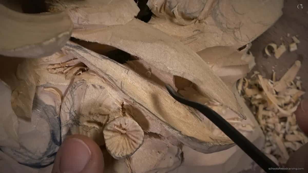 Curved shank, low under the leaf