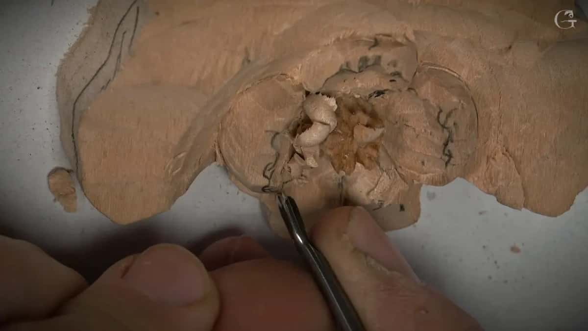 Pencil lines still show on the petals as a fine gouge works one edge from below