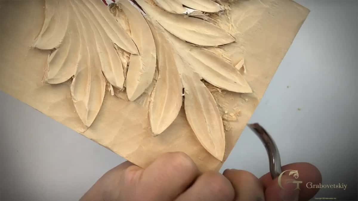 Curved back bent gouge held at the lower edge of a long acanthus lobe